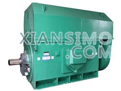 YKS4501-2YXKK(2极)高效高压电机技术参数